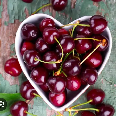 La Dimora Del Conte Conversano